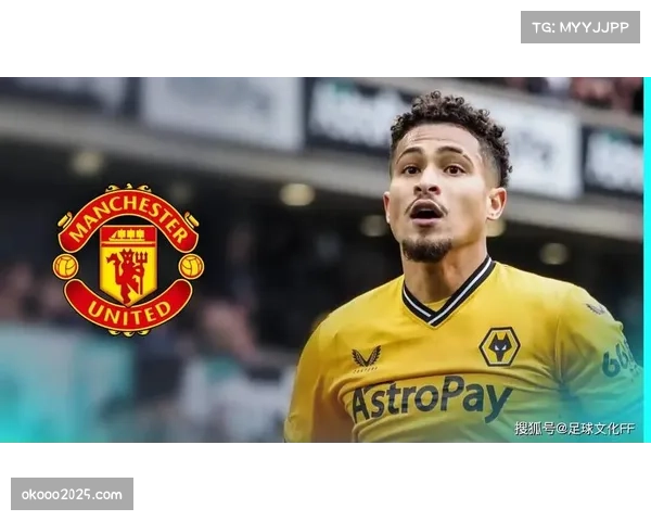 转会传闻:狼队中场若奥-戈麦斯与国际米兰传出绯闻